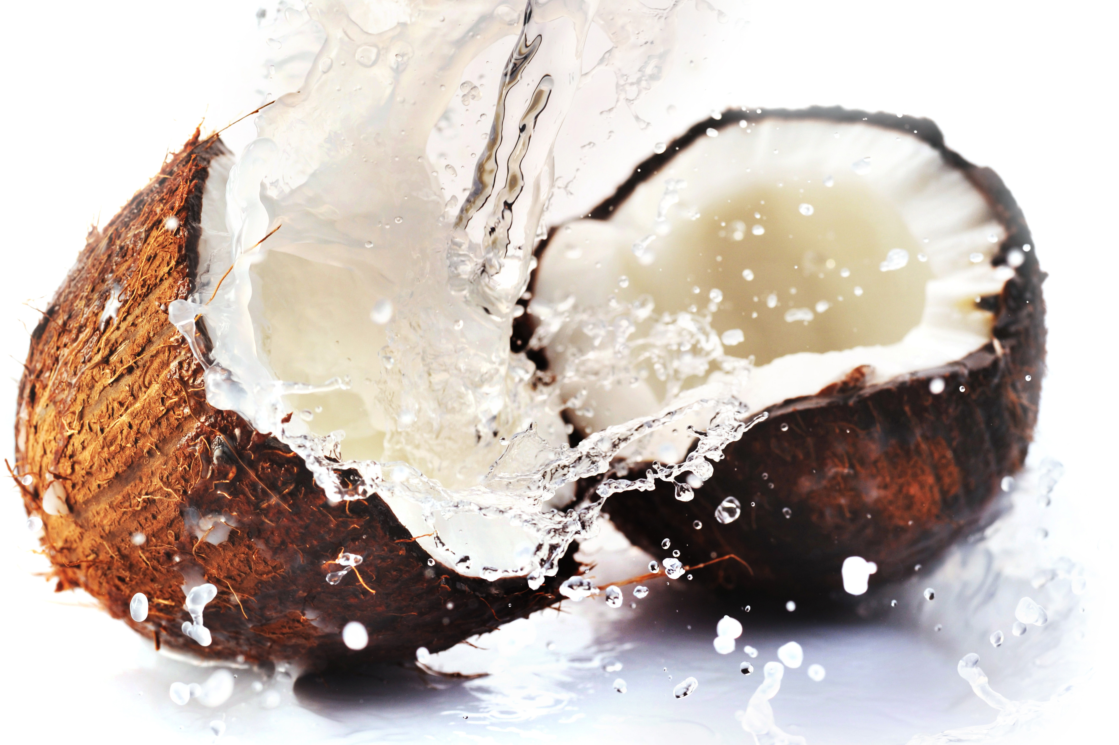 La noce di cocco, un frutto nutriente e buono dagli ambienti tropicali! -  INTER-MED